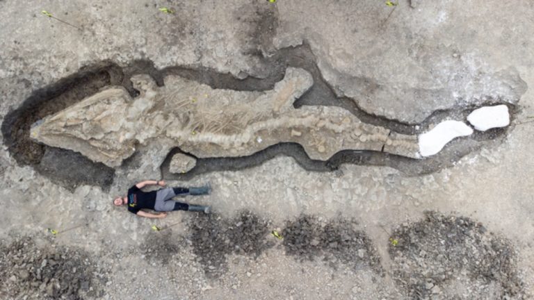 Βρετανία: Ανακαλύφθηκε τεράστιο απολίθωμα «θαλάσσιου δράκου» που έζησε πριν από 180 εκατομμύρια χρόνια