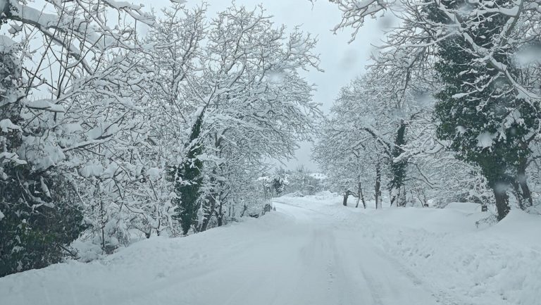 Κρήτη: Ποιοι δρόμοι είναι κλειστοί λόγω χιονιού και παγετού (βίντεο)