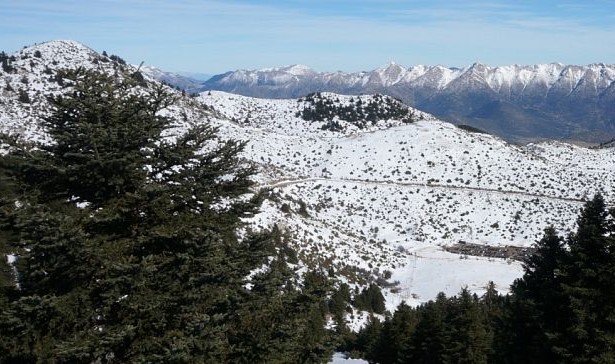 Καλαμάτα: Πεζοπορία στο Μαίναλο με τον ΕΟΣ