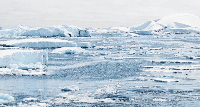 Έρευνα: Τα θαλάσσια είδη που φέρνουν τα σκάφη απειλούν το οικοσύστημα της Ανταρκτικής