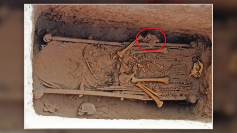 Κίνα: Ανακαλύφθηκε σπάνια «βιονική» πανοπλία 2.700 ετών