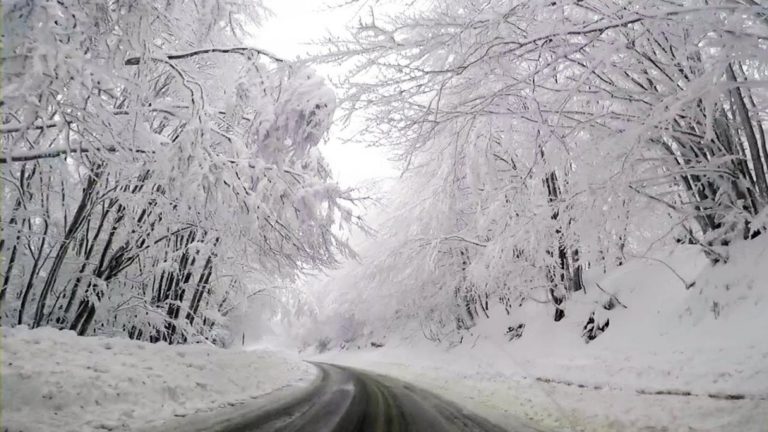 Δείτε το βίντεο με τον χιονισμένο δρόμο στη Φλώρινα που έγινε viral – Παραμυθένιο σκηνικό