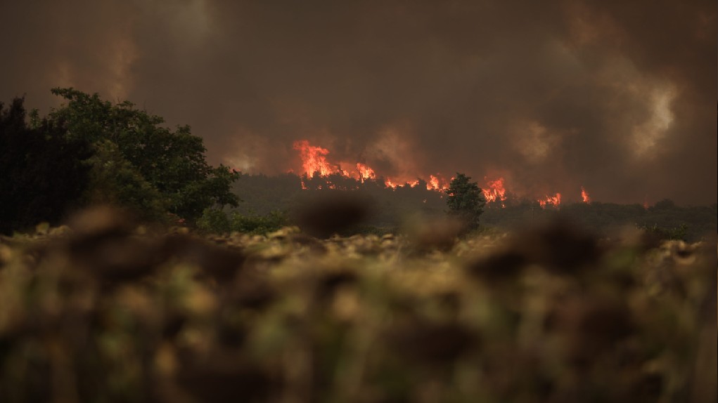 Zάκυνθος: Δυο πυρκαγιές στα χωριά Εξω Χώρα και Μαρίες