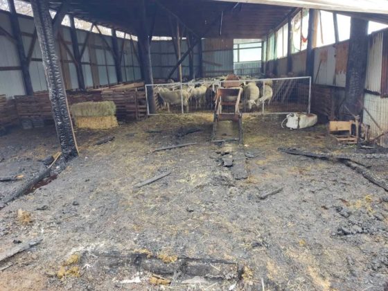 Eordaialive.com - Τα Νέα της Πτολεμαΐδας, Εορδαίας, Κοζάνης Καστοριά: Κάηκε ολοσχερώς κτηνοτροφική μονάδα στην Πτελέα (εικόνες)
