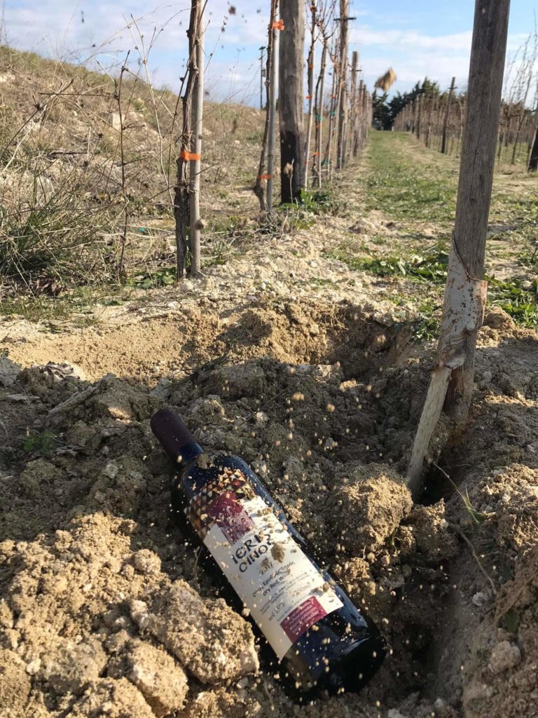 Χαλκιδική: «Φυτεύουν» μπουκάλια με κρασί σε οινοποιείο της Ιερισσού για παλαίωση