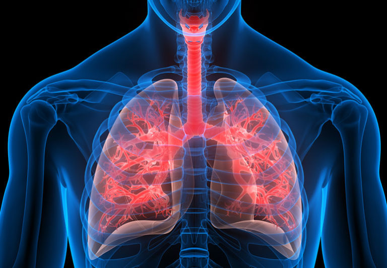 Ελληνική Πνευμονολογική Εταιρεία για Παγκόσμια Ημέρα ΧΑΠ: Η αναπνοή σου είναι η ζωή σου, δράσε εγκαίρως!