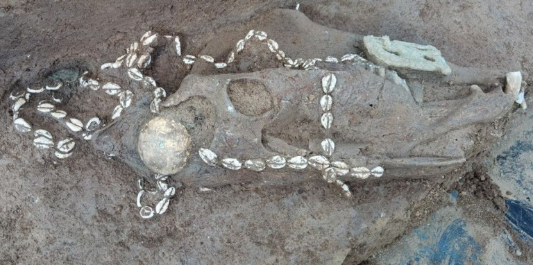 Μια τρομακτική ανακάλυψη από αρχαιολόγους – Στην αρχαία Κίνα, οι πολεμιστές θάβονταν ζωντανοί