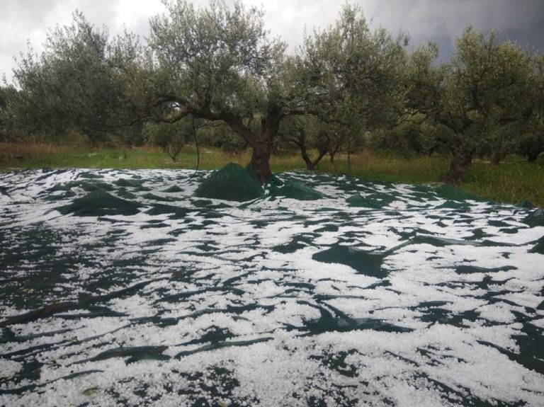 Αυτοψίες από τον ΕΛΓΑ στη Βιάννο – Αυξάνονται οι αναφορές για ζημιές από τη χαλαζόπτωση και τον υδροστρόβιλο