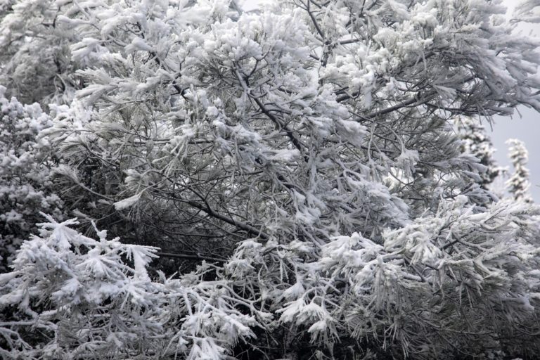 O καιρός με τον Π. Γιαννόπουλο: Πού θα «χτυπήσει» τις επόμενες ώρες ο χιονιάς