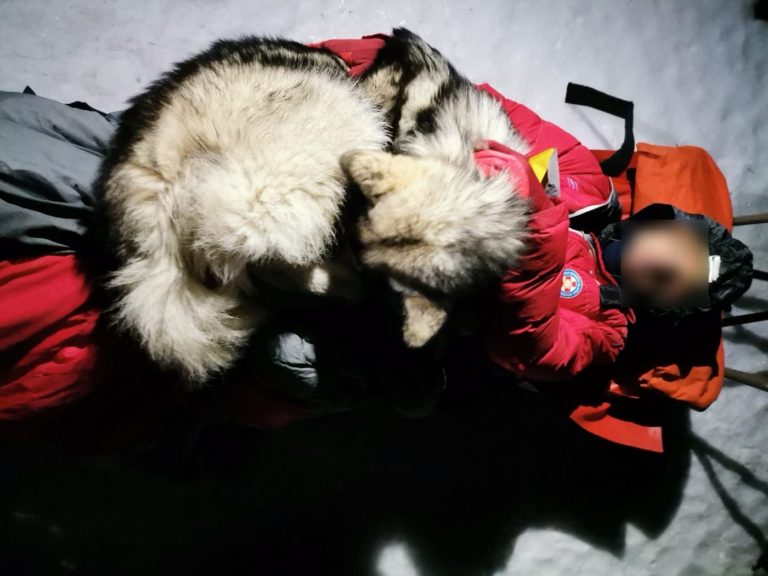 Κροατία: Σκύλος έσωσε τραυματισμένο ορειβάτη – Τον ζέσταινε για 13 ώρες