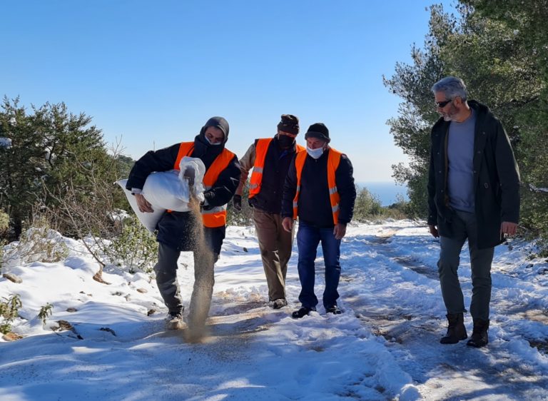 Κακοκαιρία «Ελπίδα»: Ρίχνουν τροφή στα ζώα του όρους Αιγάλεω