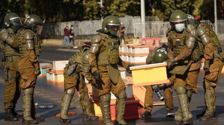 Χιλή: Μέλισσες εναντίον αστυνομίας