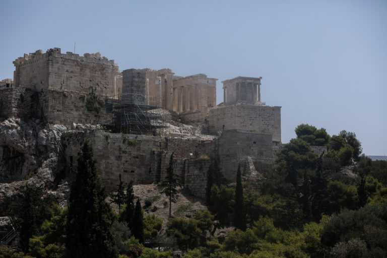 Micromeria acropolitana: ένα φυτό μοναδικό στον κόσμο με σπίτι του την Ακρόπολη