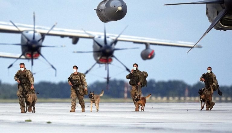 Επιχείρηση «Mission Possible»: Μεταφέρθηκαν 300 σκύλοι και γάτες από την Καμπούλ