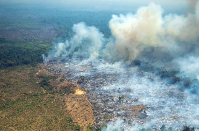 Πυρκαγιές στον Αμαζόνιο – περιβαλλοντικός συναγερμός στην Κολομβία