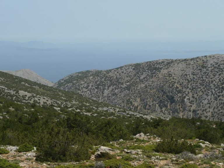 Φίλοι Μονοπατιών Χίου: Κοπή πίτας με πεζοπορία στα μονοπάτια των τσοπάνων