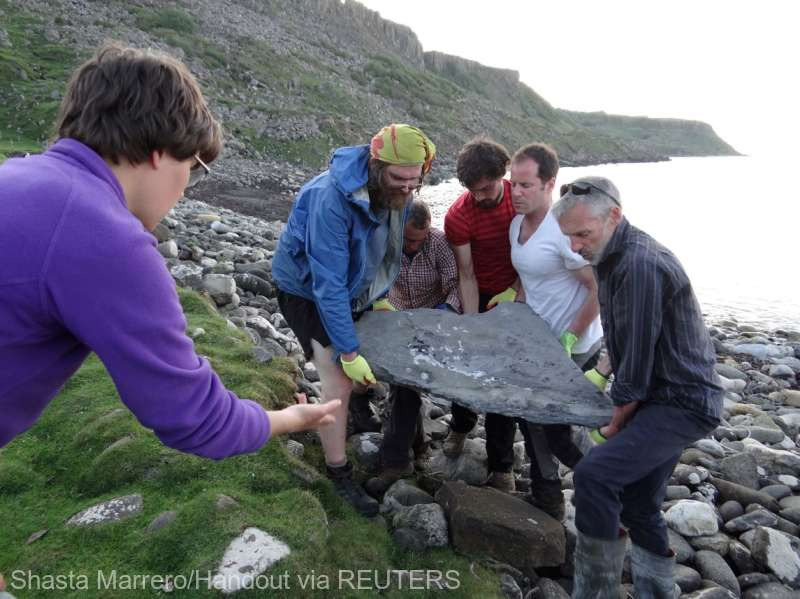 Σκωτία: Ένα απολιθωμένο σαγόνι πτερόσαυρου οδήγησε σε μία νέα ανακάλυψη