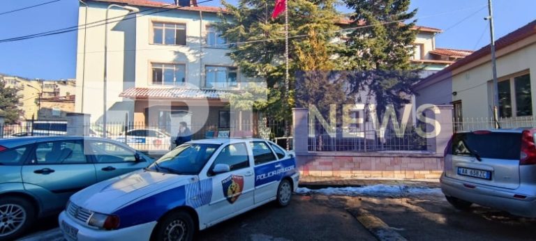 Δολοφονία Άλκη: Παραδόθηκε στην Κορυτσά ο 20χρονος – Αναμένεται η έκδοσή του