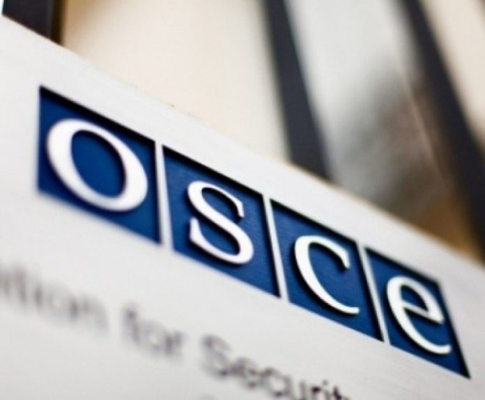 Γερμανία: Επιδιώκει να αυξήσει την παρουσία παρατηρητών του ΟΑΣΕ στην Ουκρανία