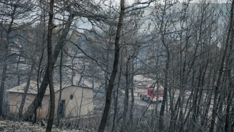 Οικονομική στήριξη της Αρχιεπισκοπής Καναδά στους πυρόπληκτους