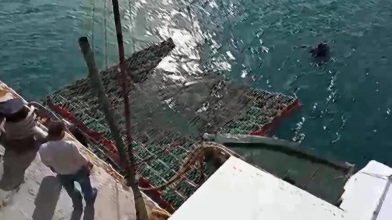 Ηράκλειο: Στο βυθό της θάλασσας για παλαίωση 5.000 φιάλες κρασί