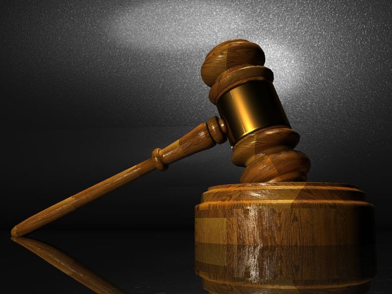 Π. Λαζαράτος, καθ. Δημοσίου Δικαίου, για το Κόμμα Κασιδιάρη: Το Δικαστήριο πρέπει να βγάλει μία προσεκτικά αιτιολογημένη απόφαση
