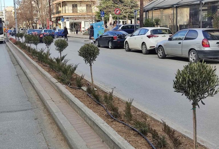 Αναβαθμίστηκε το πράσινο στη νησίδα της Παπαναστασίου