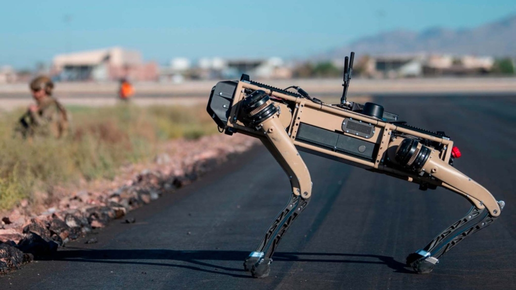 Σκύλοι -ρομπότ περιπολούν τα σύνορα των ΗΠΑ