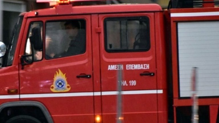 Αίσιο τέλος για τα εγκλωβισμένα ζώα στην περιοχή “Κάκκαβος”