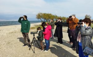Λέσβος: Τα πουλιά του χειμώνα στους υγρότοπους του Πολυχνίτου