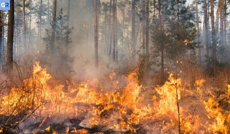 Σε εξέλιξη η πυρκαγιά μεταξύ των χωριών Βίκι και Αμάδες στη Βόρεια Χίο
