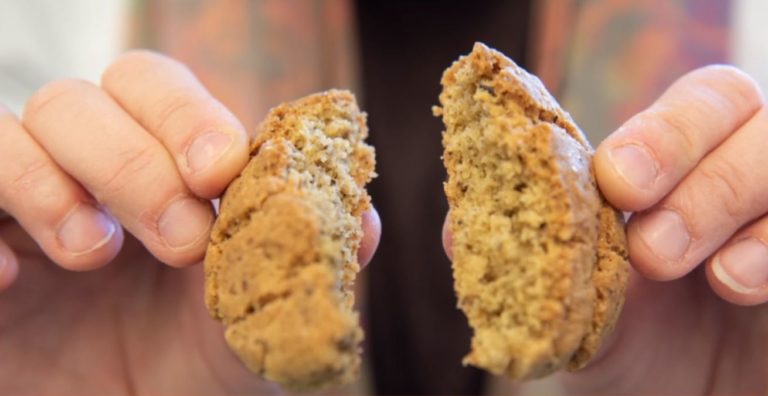 Μπισκότα και ψωμί από αλευροσκώληκες –  Επιστήμονες στο ΑΠΘ ερευνούν τη διατροφική τους αξία (video)