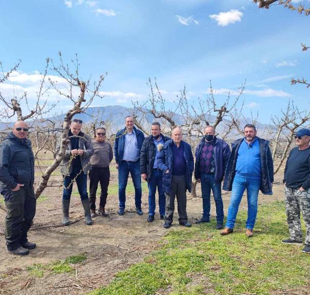 Νέος γύρος δηλώσεων ζημιών από τον παγετό στο Δήμο Τυρνάβου