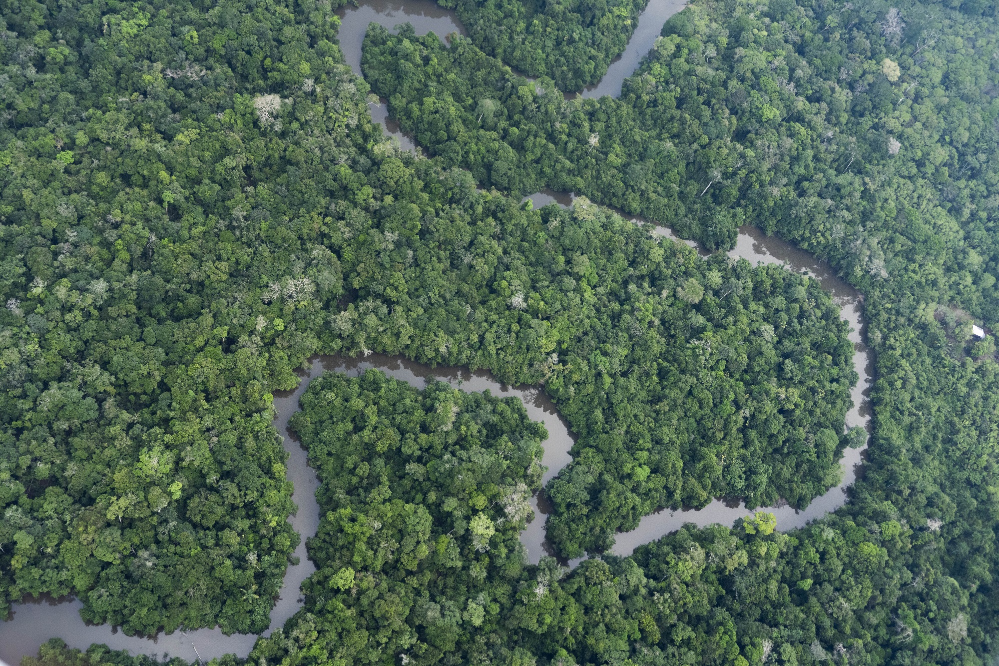 Υποτριπλασιάστηκε η αποψίλωση του τροπικού δάσους του Αμαζονίου τον Ιούλιο