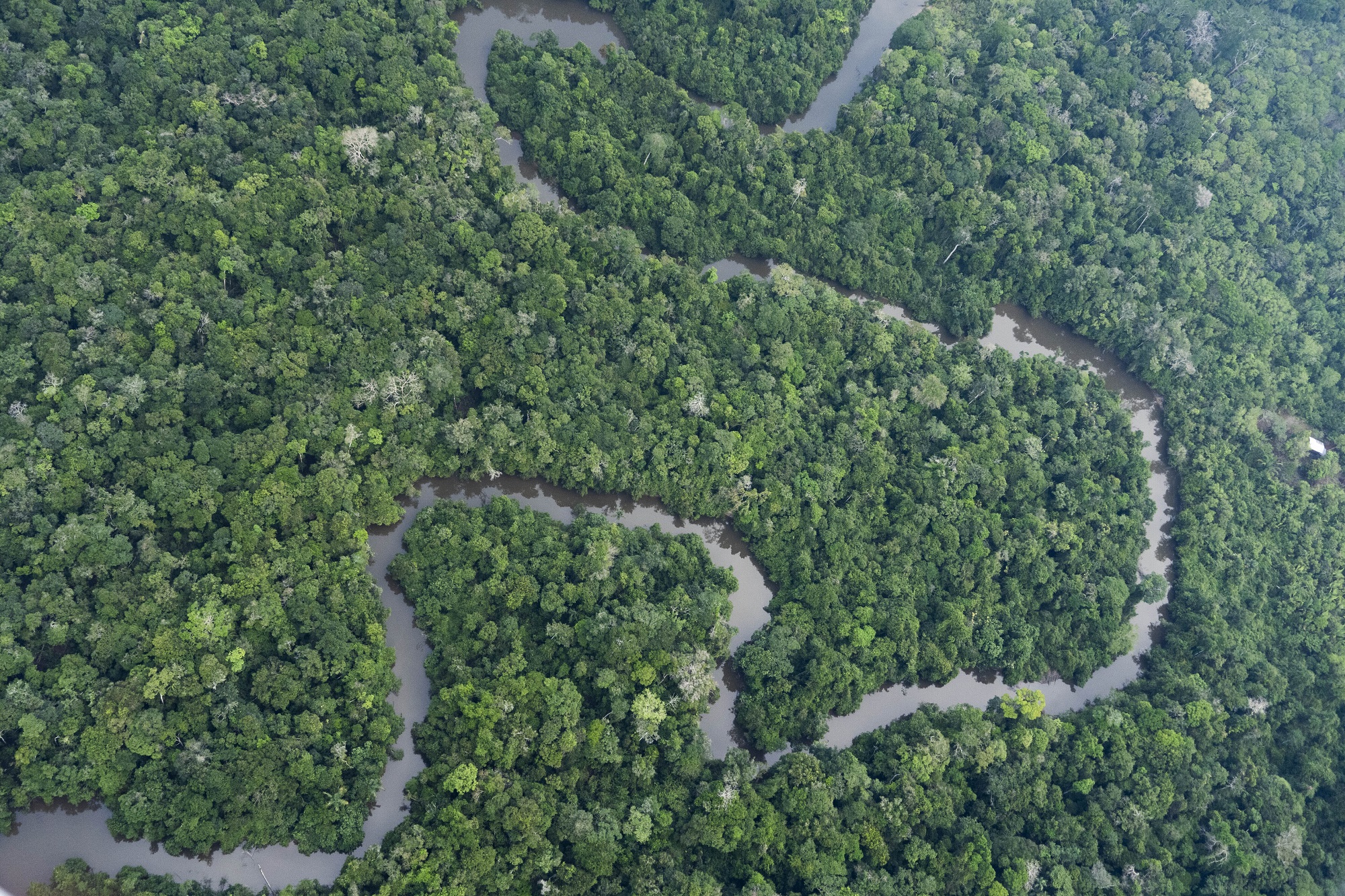 Brazil Amazon Fires