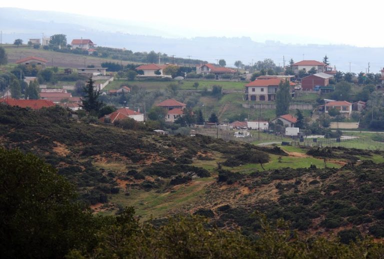 Πρόσφυγες από την Ουκρανία σε αναδάσωση του δήμου Θέρμης