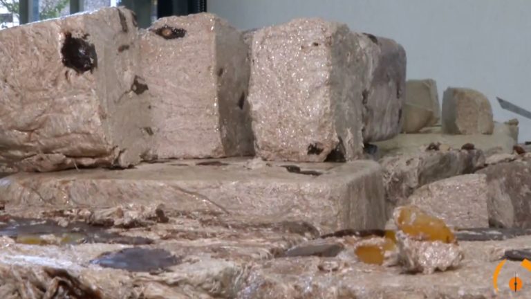 Βίντεο – «Μια ιστορία θα σου πω»: Ήρθα τρέχοντας για το ταχίνι της γιαγιάς
