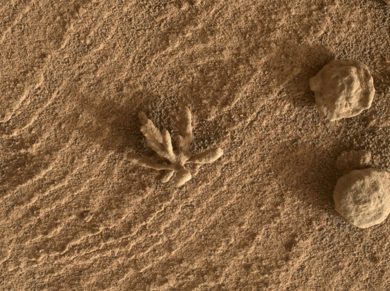 Το ρόβερ Curiosity εντόπισε έναν μικροσκοπικό σχηματισμό που μοιάζει με λουλούδι 