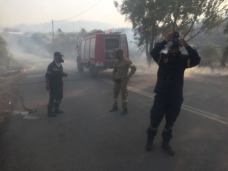 Μεσσηνία: Μεγάλη φωτιά στη Σκάλα στην περιοχή του Μελιγαλά (βίντεο)
