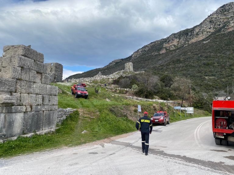 Μεσσηνία: Υπό έλεγχο η φωτιά στη Σκάλα (video)