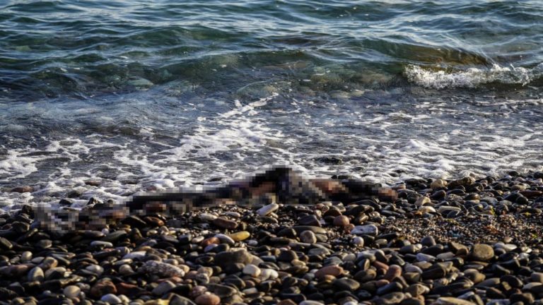 Μηταράκης για ναυάγιο στη Λέσβο: Κάθε ζωή που χάνεται στη θάλασσα είναι μια τραγωδία