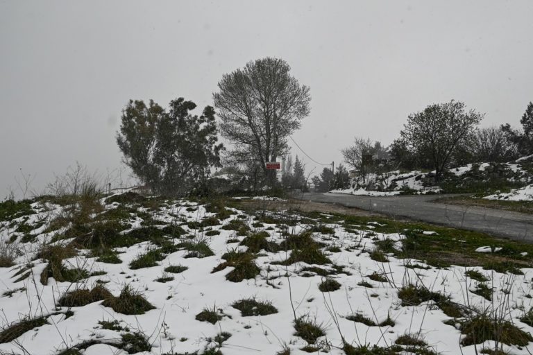 Διακοπή κυκλοφορίας λόγω της χιονόπτωσης στην επαρχιακή οδό Μαλακάσας-Ωρωπού