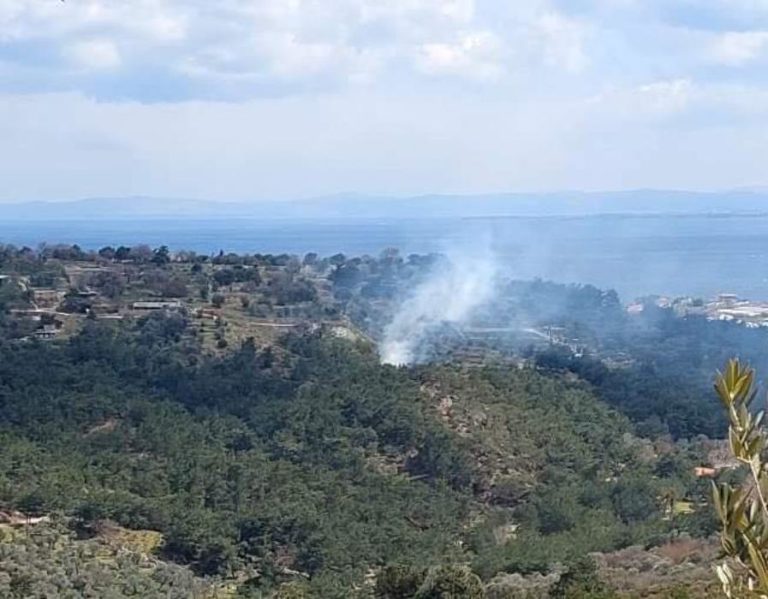 Χίος: Αμεση κατάσβεση πυρκαγιάς στο περιαστικό δάσος Κλειδούς
