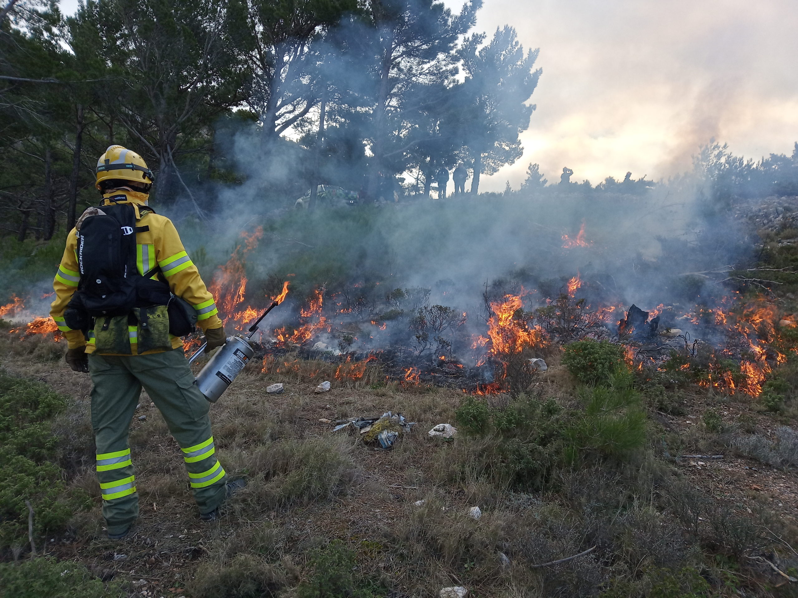 "Προδιαγεγραμμένo πυρ": Πειραματικές καύσεις για την πρόληψη δασικών πυρκαγιών στην Ελλάδα 7
