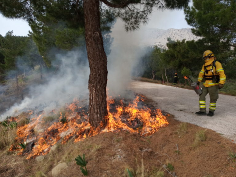 Προδιαγεγραμμένη καύση: Πιλοτική εφαρμογή για την πρόληψη των δασικών πυρκαγιών