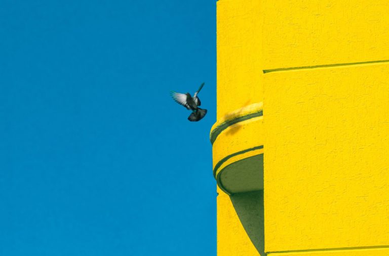 Filmmakers for Ukraine: Διαδικτυακή πλατφόρμα βοήθειας για Ουκρανούς κινηματογραφιστές – Ταινίες για την Ουκρανία