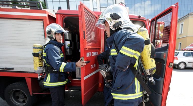 Επιχείρηση της Πυροσβεστικής για την διάσωση ενός προβάτου – Έπεσε σε γκρεμό 5 μέτρων