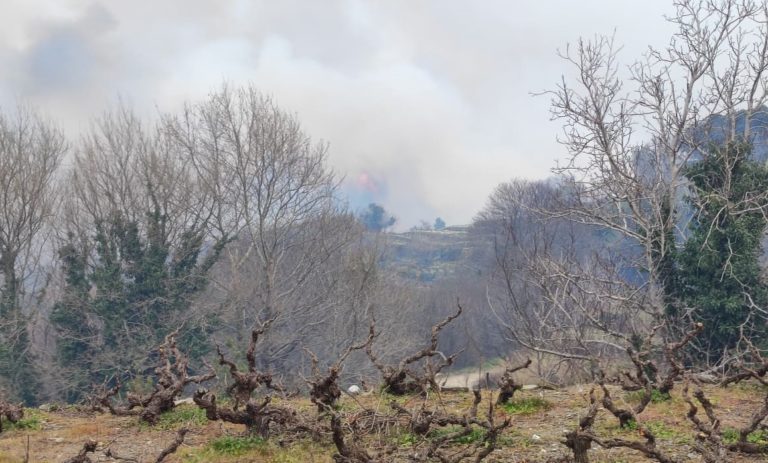 Σε ύφεση η πυρκαγιά στην Σάμο – Δικογραφία για εμπρησμό κατά 83χρονου (video)