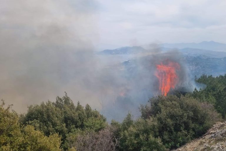 Πυρκαγιά στην θέση “Νεράκι” της Σάμου – Προληπτική εκκένωση του χωριού Βουρλιώτες (video)