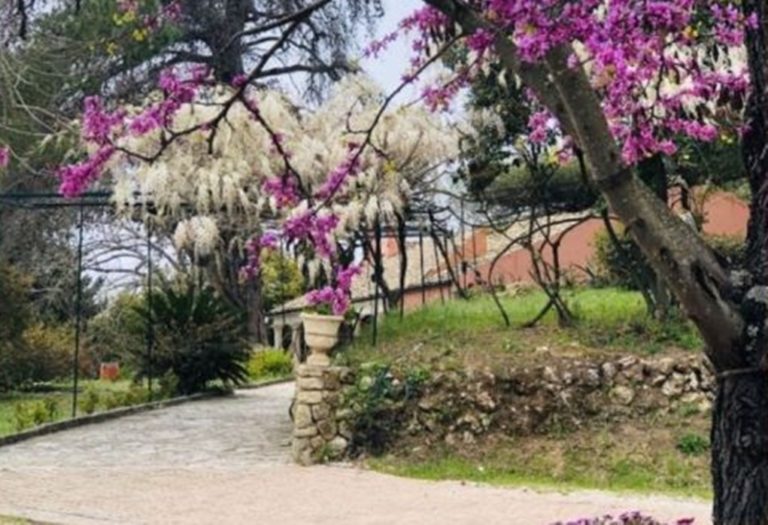 Κέρκυρα: Στη δράση Corfu Open Gardens το Μουσείο Καποδίστρια το Σαββατοκύριακο